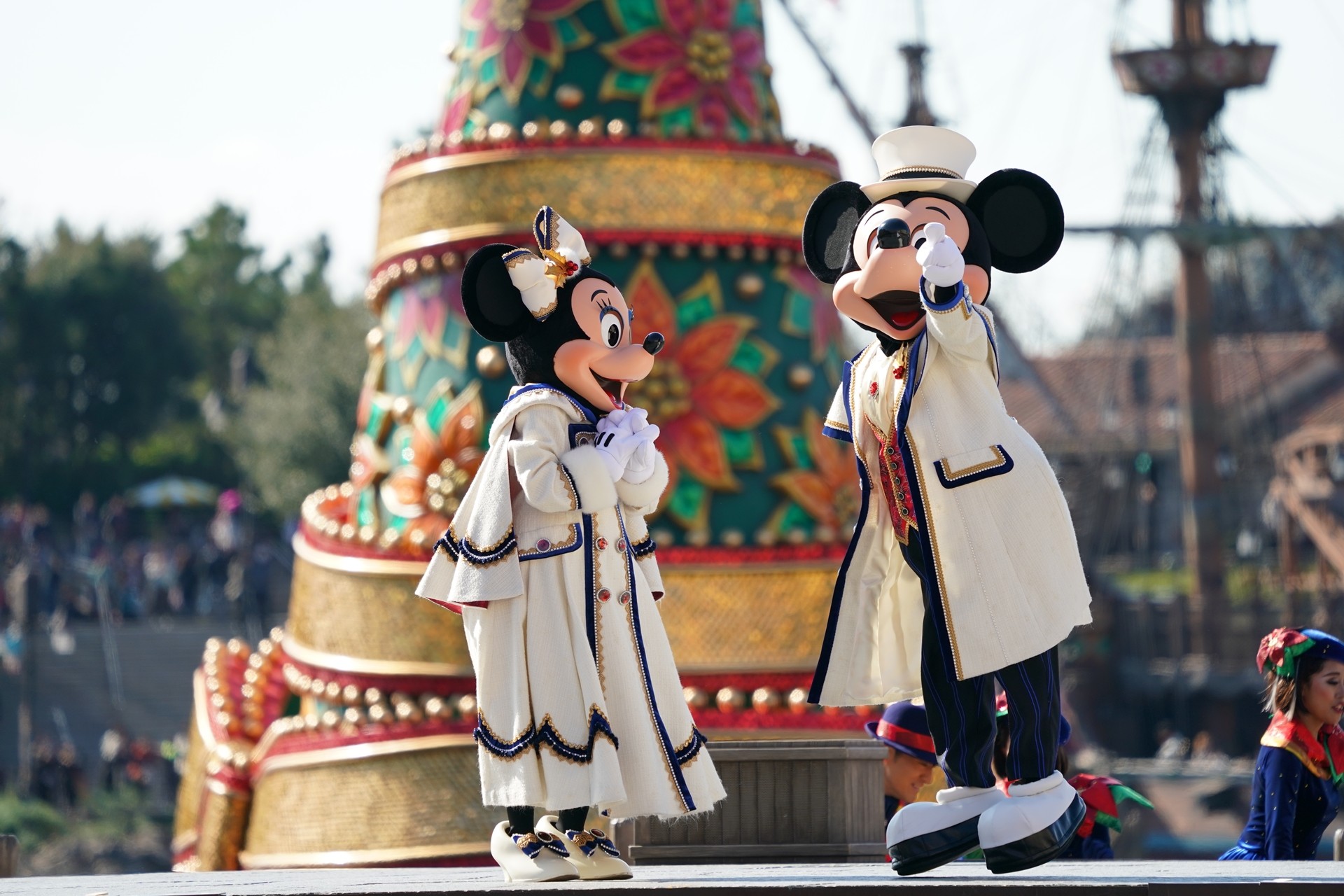 Rabbit In Dawn 18年11月22日