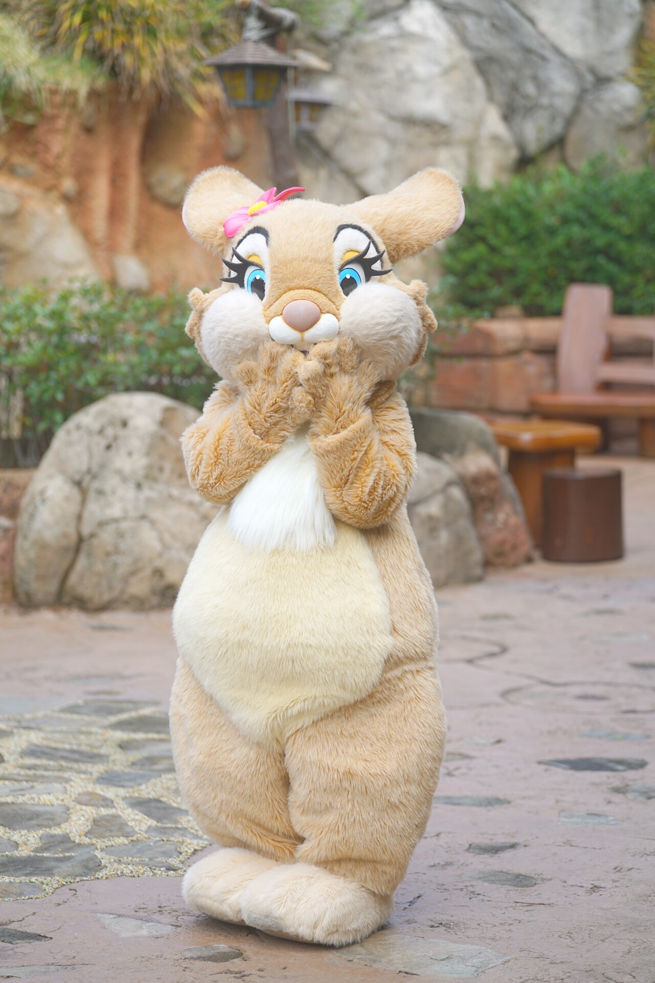 Tdl39周年は 我らがクリッターカントリーがテーマ Rabbit In Dawn
