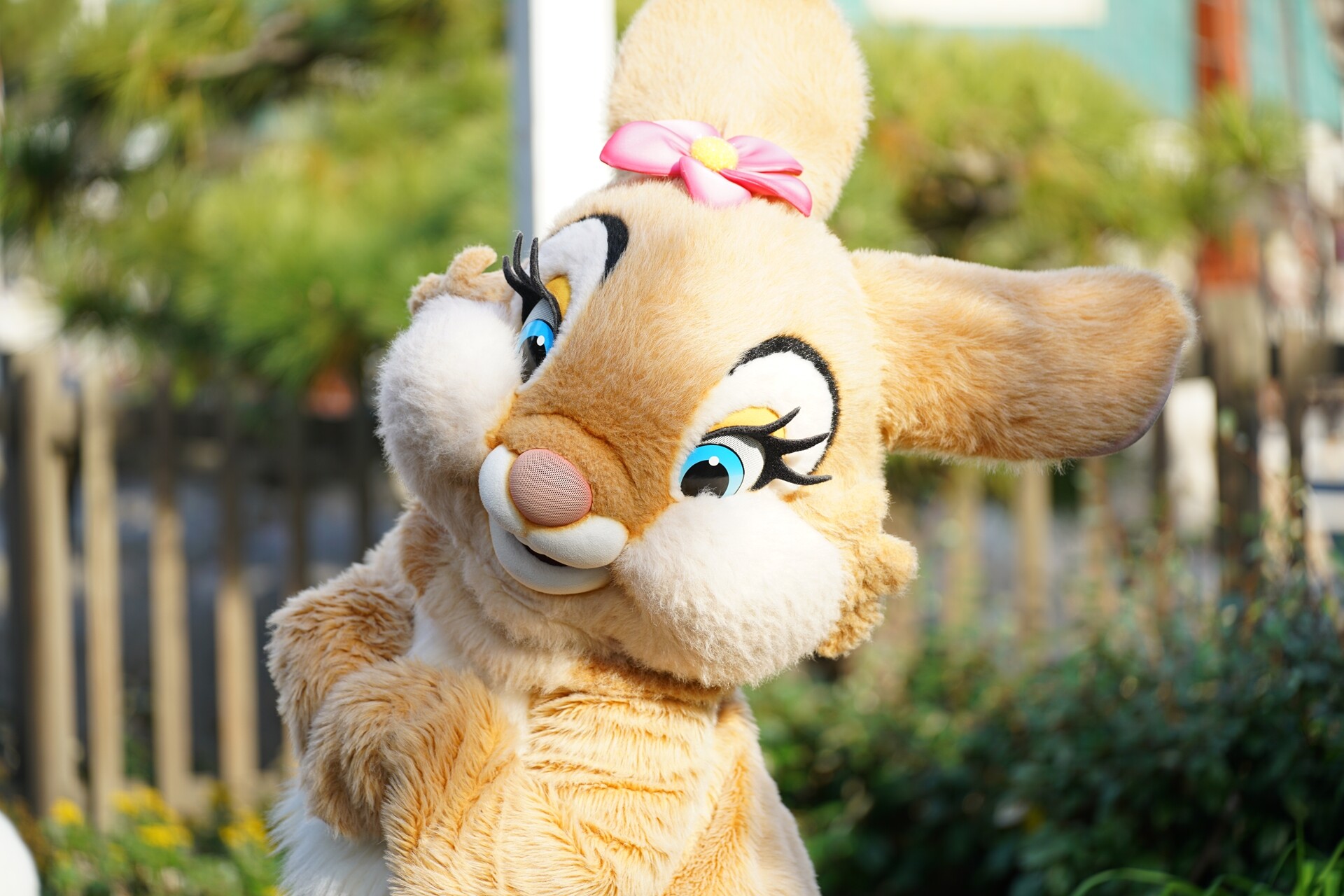 Rabbit In Dawn 22年初の いってきます Rabbit In Dawn 22年初の いってきます
