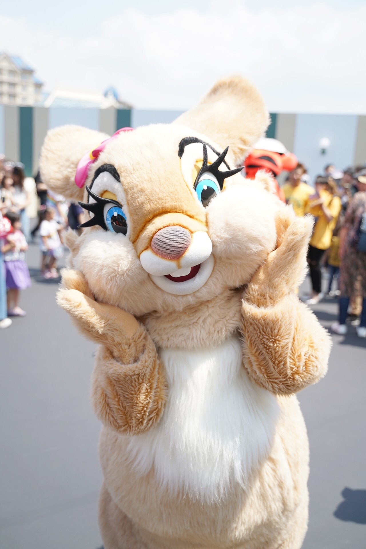 イマジニングの写真集 真面目にレビュー Rabbit In Dawn イマジニングの写真集 真面目にレビュー Rabbit In Dawn