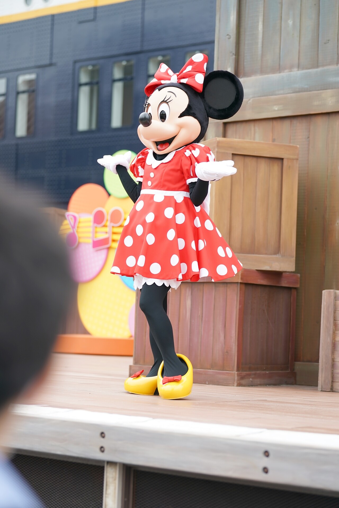 安いパスポート Rabbit In Dawn