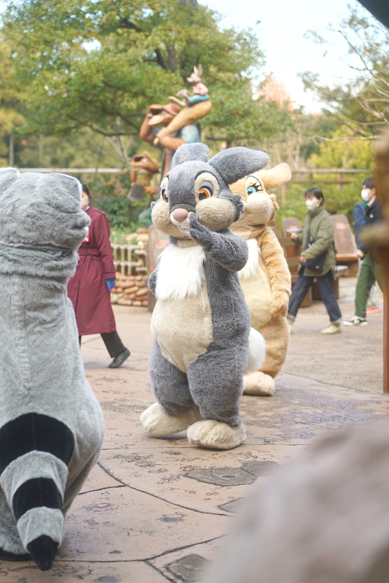 ＴＤＬ☆スプラッシュマウンテン くまどん☆ぬいぐるみ クリッターカントリー 東京ディズニーランド スプラッシュマウンテン クリッター