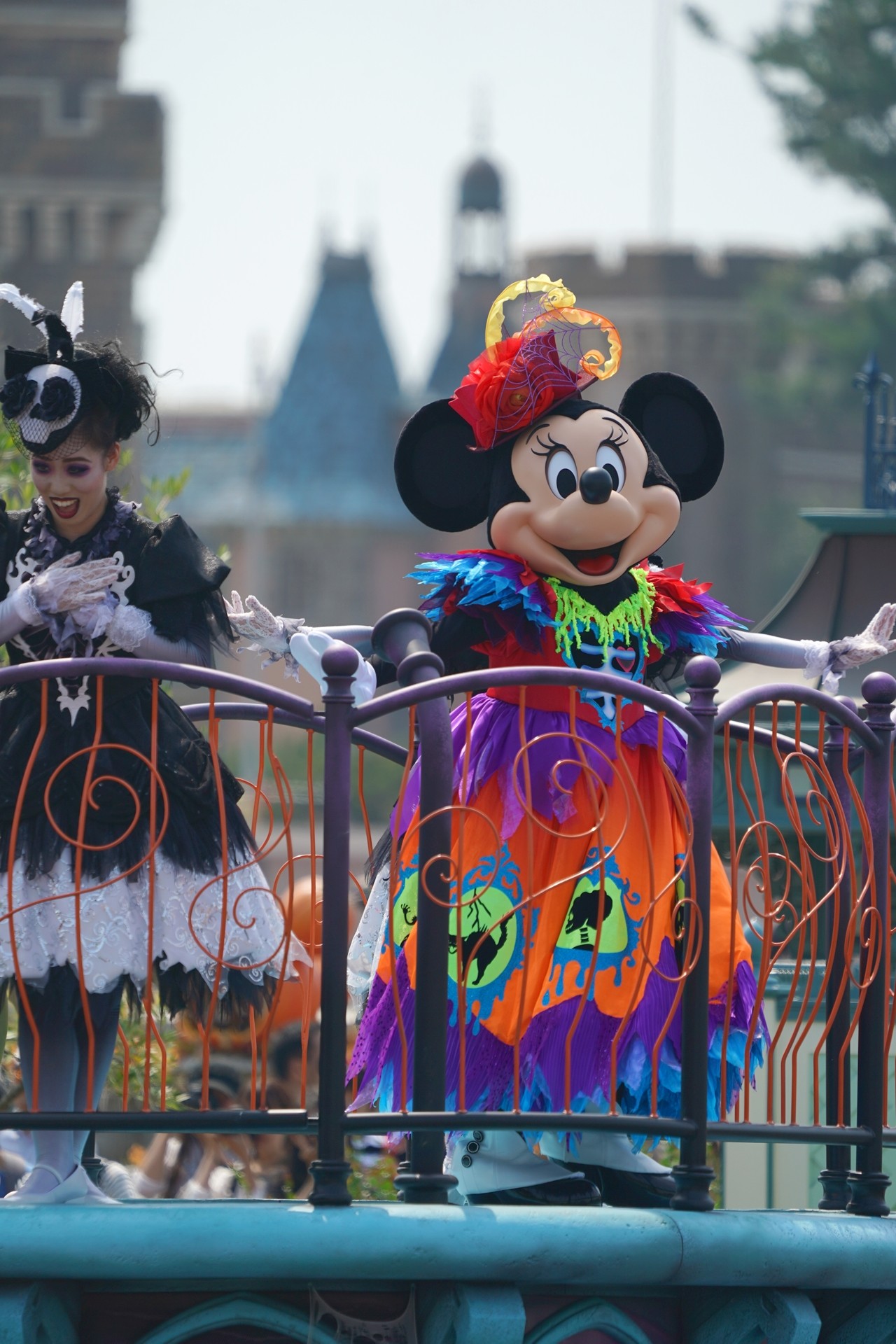 Rabbit In Dawn スプブ