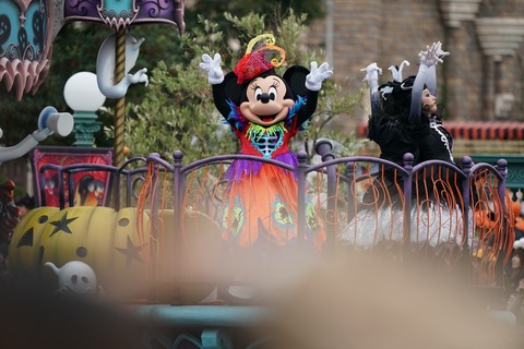 Rabbit In Dawn ディズニー