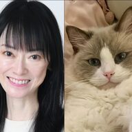 救急隊突入！遠野なぎこ宅の衝撃事情がやばい。そのとき愛猫は