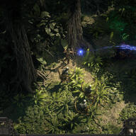 『Path of Exile 2』: 46万人のプレイヤーが集結した早期アクセスの成功