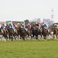 エルムステークスでの13票的中！ペイシャエスが80万3180円の払戻し