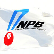 現役ドラフトの影響でNPB公式HPがつながりにくくなった理由とは？