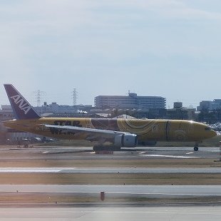 渡邊渚の仕事への責任感と自己管理術