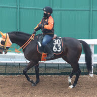 京成杯G3で注目の激走馬：インターポーザーの魅力と狙い方