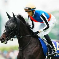 【坂井瑠星騎手が説明】新潟記念でのライトバック放馬事情とは？