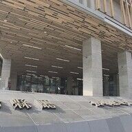 オウム病で妊婦が死亡…長崎の衝撃的な事例を深掘りする