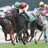 エイシンフェンサーの逆転劇：川又騎手が魅せた重賞初制覇