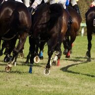 ３歳牝馬アスコリピチェーノ、京成杯オータムハンデでの圧勝！注目の秋シーズン突入！