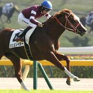 愛チャンピオンステークスを彩る謎のフォントの真相