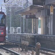 名鉄名古屋本線美合駅で発生した人身事故の詳細と影響