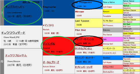 チュウワウィザード