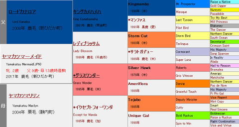 ヤマカツマーメイド