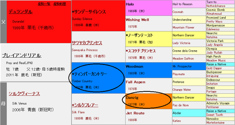 プレイアンドリアル