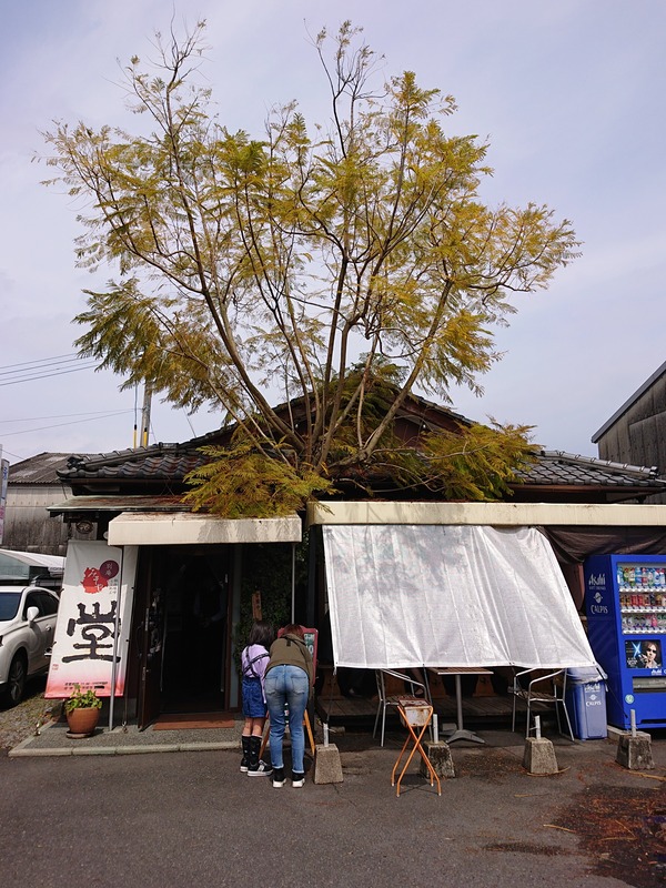 DSC_4674 (1)