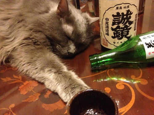nekozake