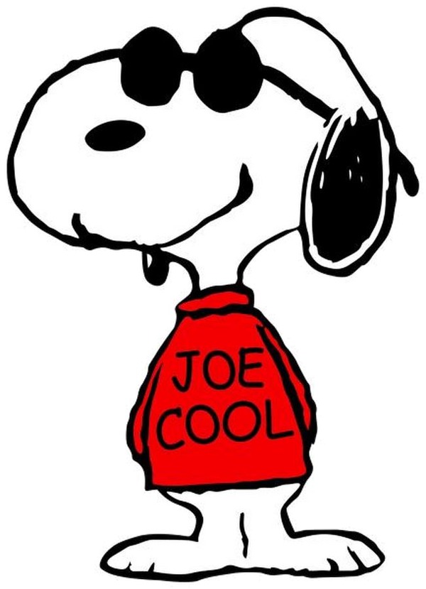 joe-cool