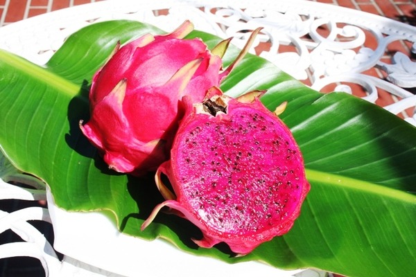 dragonfruits