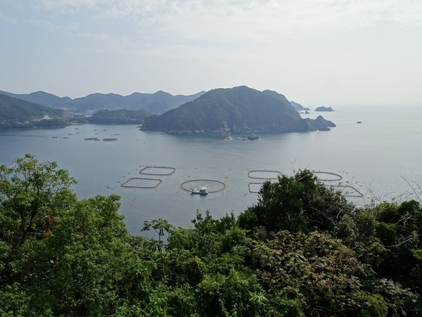 DSC00432