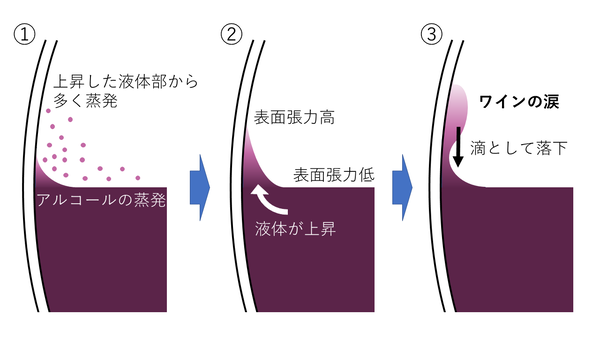 TearOfWine