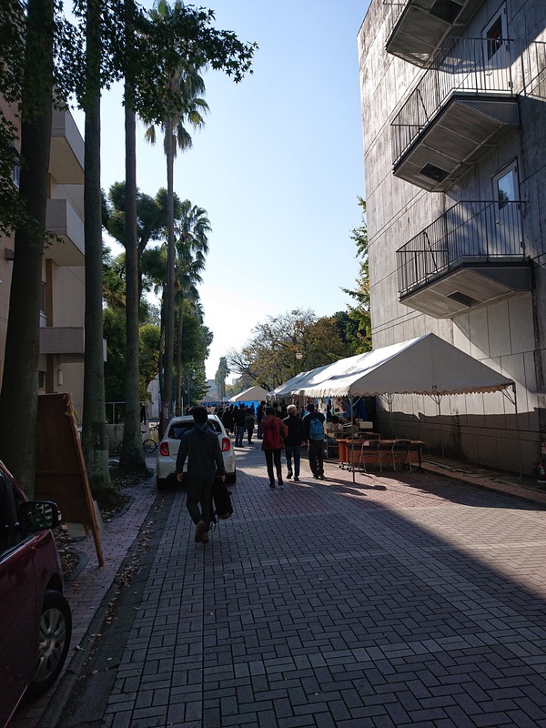 DSC_7434