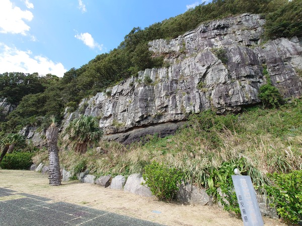 DSC_7251 (1)