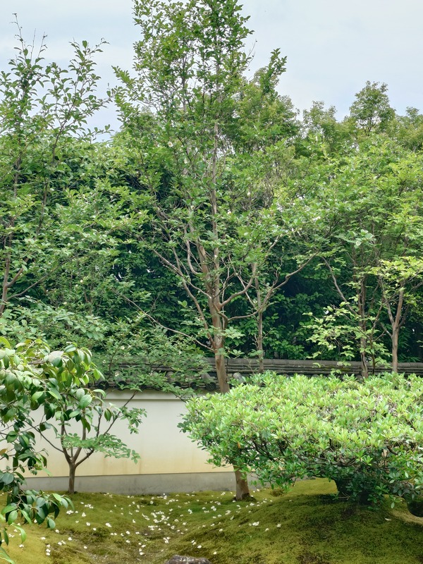20240622_144212005
