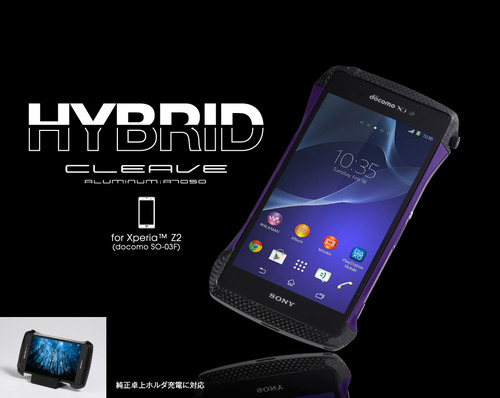z2_hybrid_top
