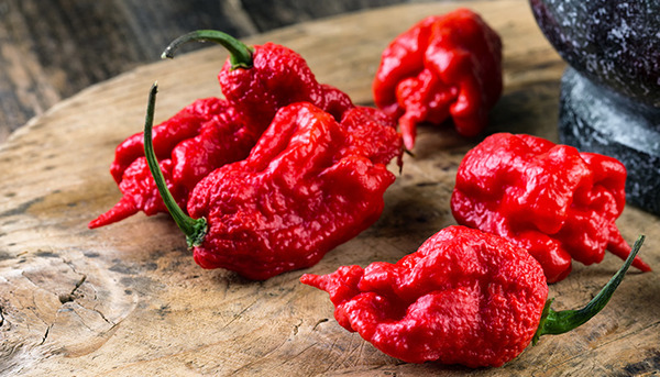 CarolinaReaper