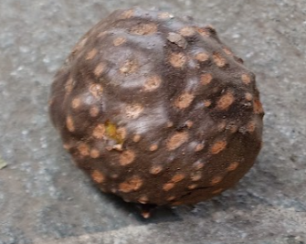 スクリーンショット 2025-11-04 192246