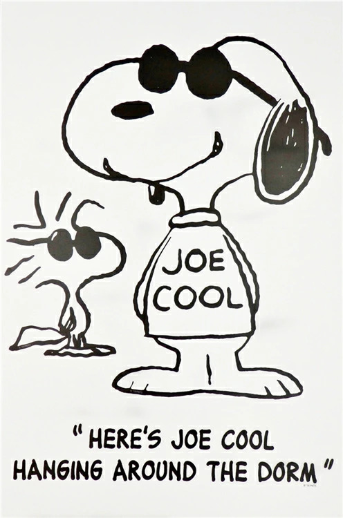JOE-COOL