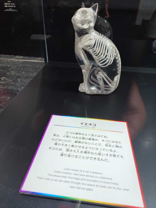 20260829_123351206