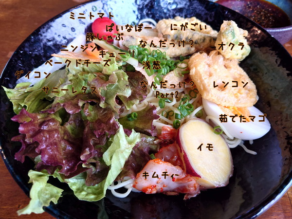 20230602_120011(Sample)