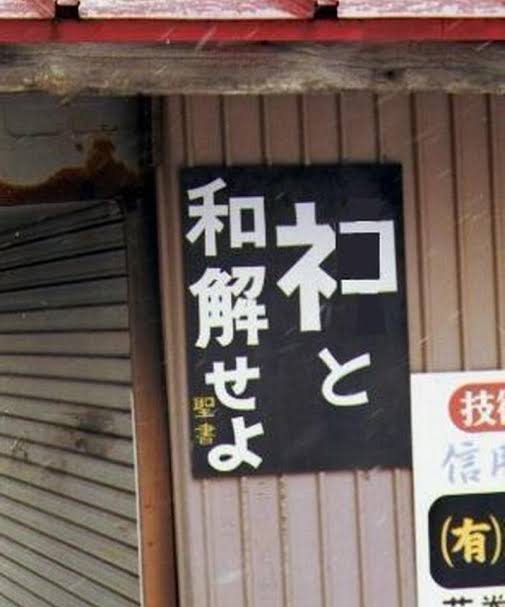 nekotowakaiseyo