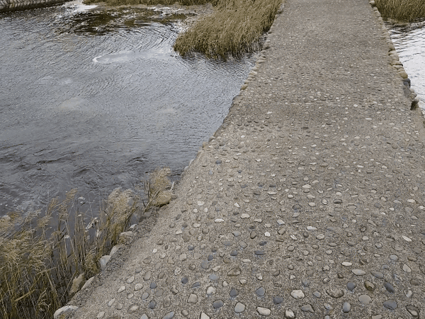 Videotogif (2)