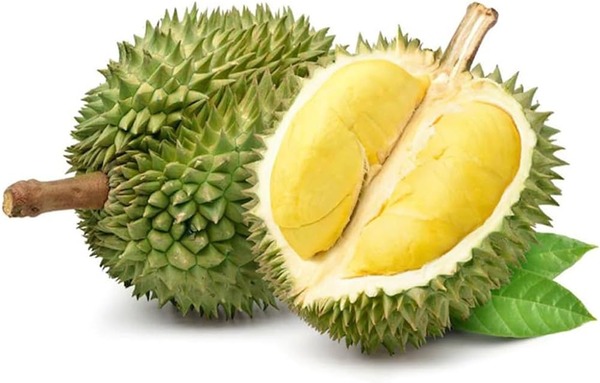 durian