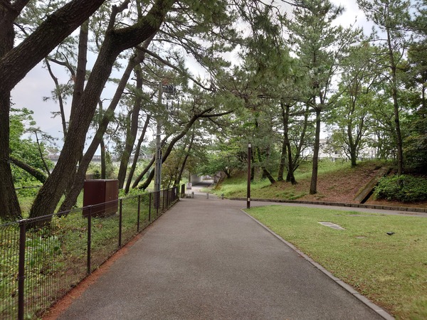 DSC_0051