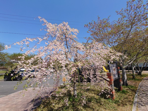 DSC_1760