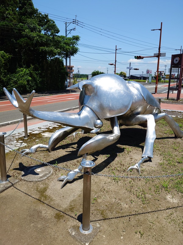 20250630_122122759