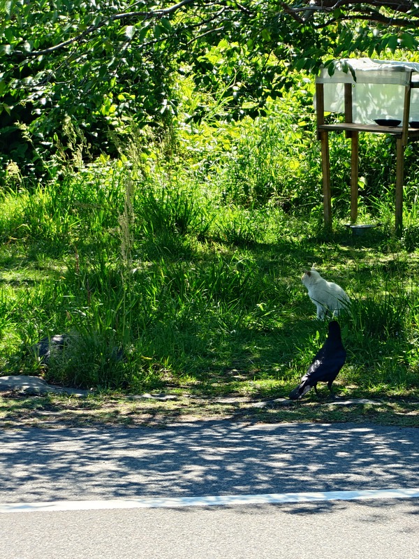20250502_142758042