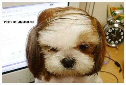 HTVIrDKFHORP4pU_vzzeK_36