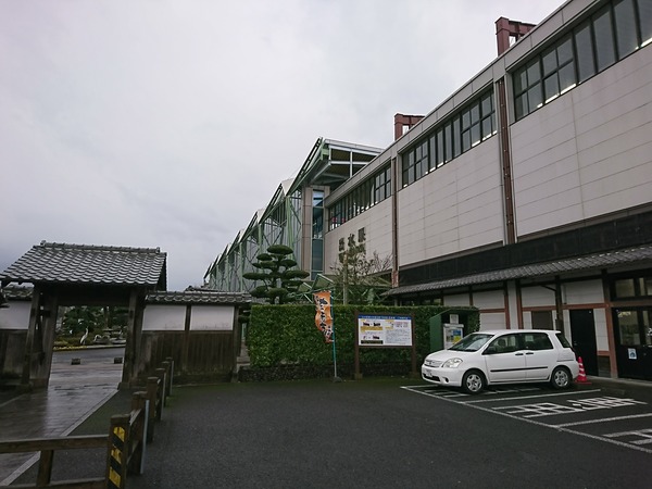 DSC_4878