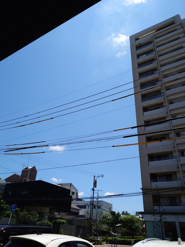 20250628_124253676