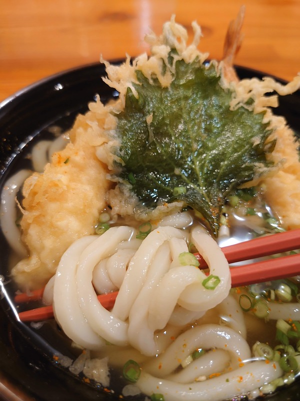 うどん 麺喰道 およそ鹿児島の麺日記 ほぼラーメン