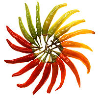Hot_peppers
